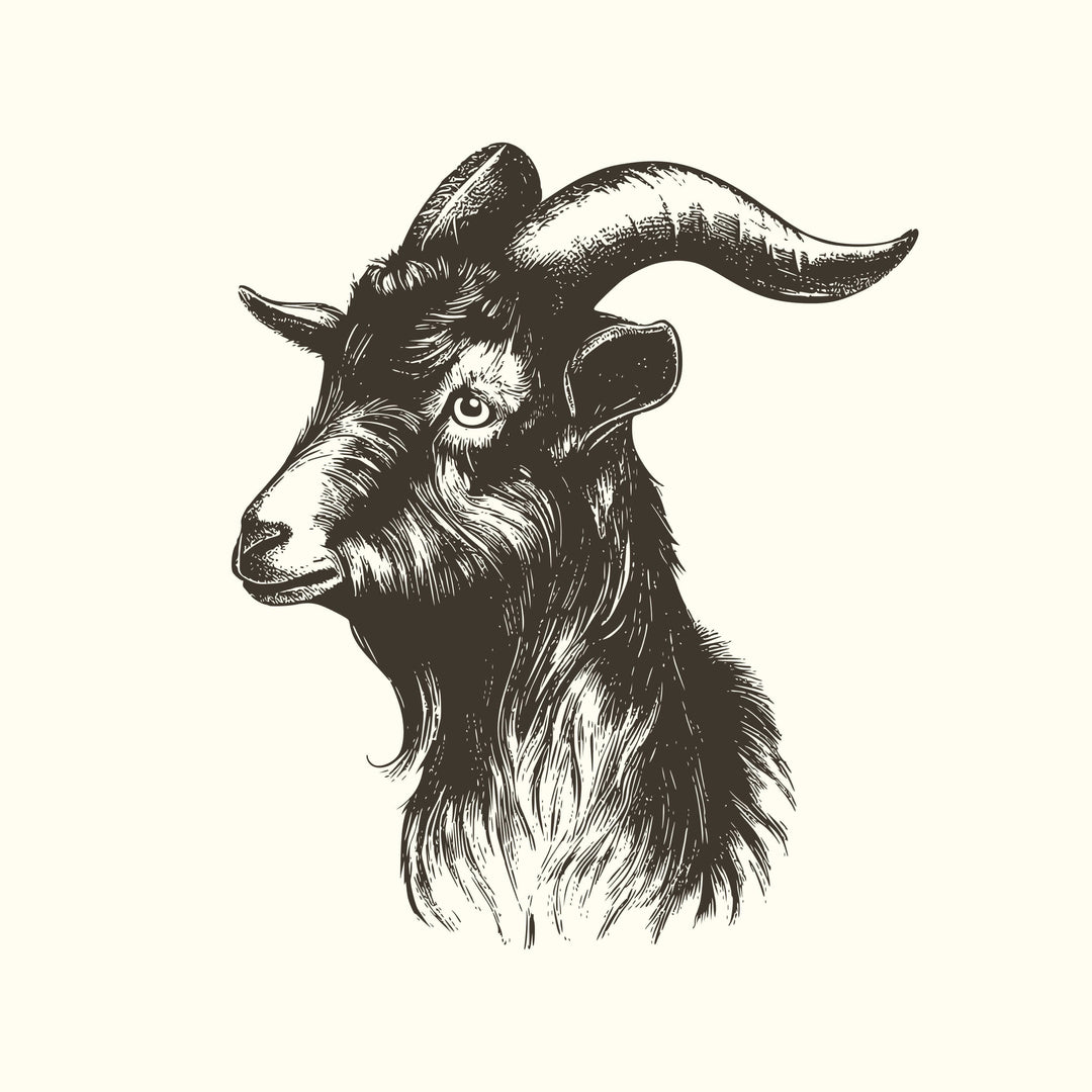 Goat Kaldi Home Roast