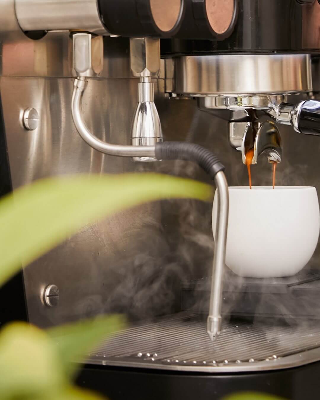 Iberital Vista - Dual boiler espressomaskine med kraft og præcision til specialty coffee - BloomVik