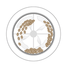 Santoker R6 Kafferister Home Roast