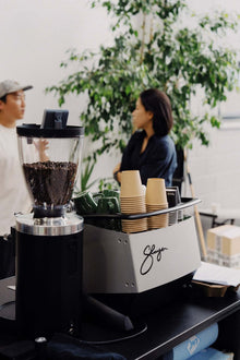 SLAYER Steam Single – Den mest tilgængelige vej til ægte Slayer-espresso - BloomVik