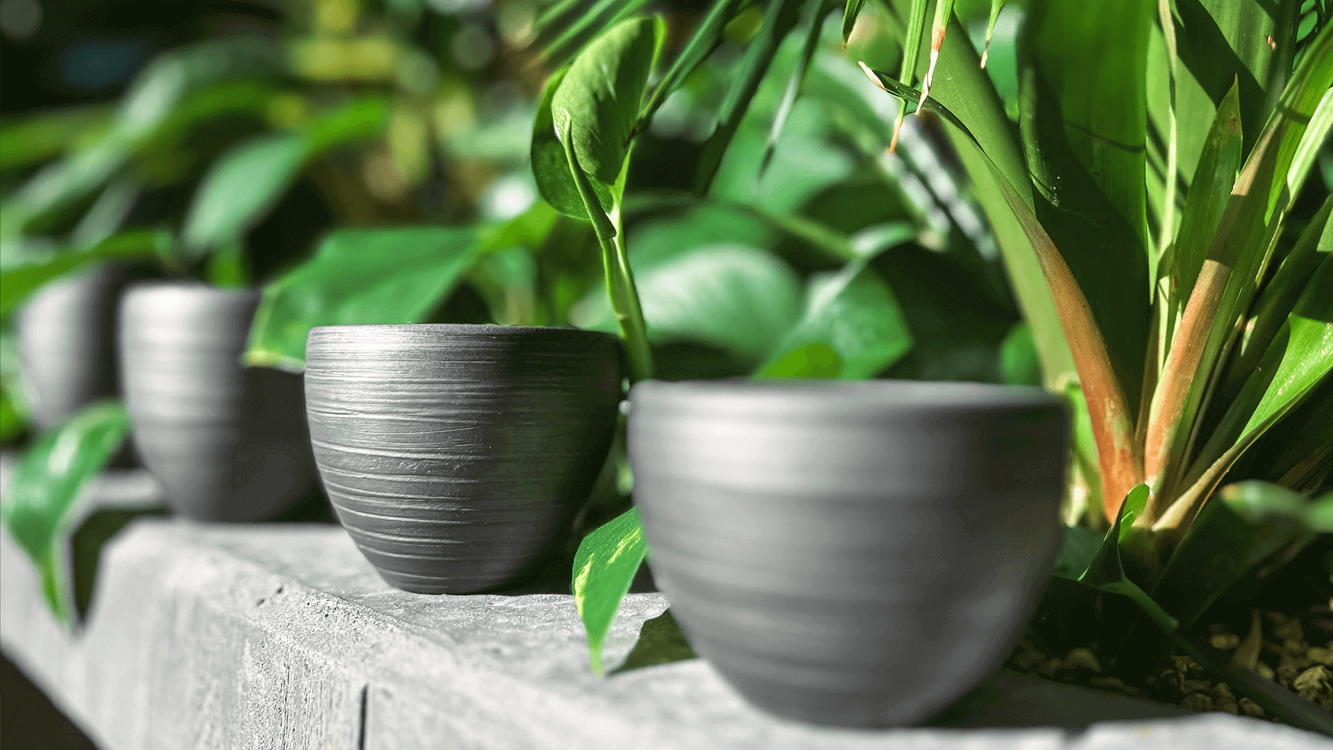 Stanislavs Vilums Home Roast kollektion Keramik Kopper til Kaffe og Te